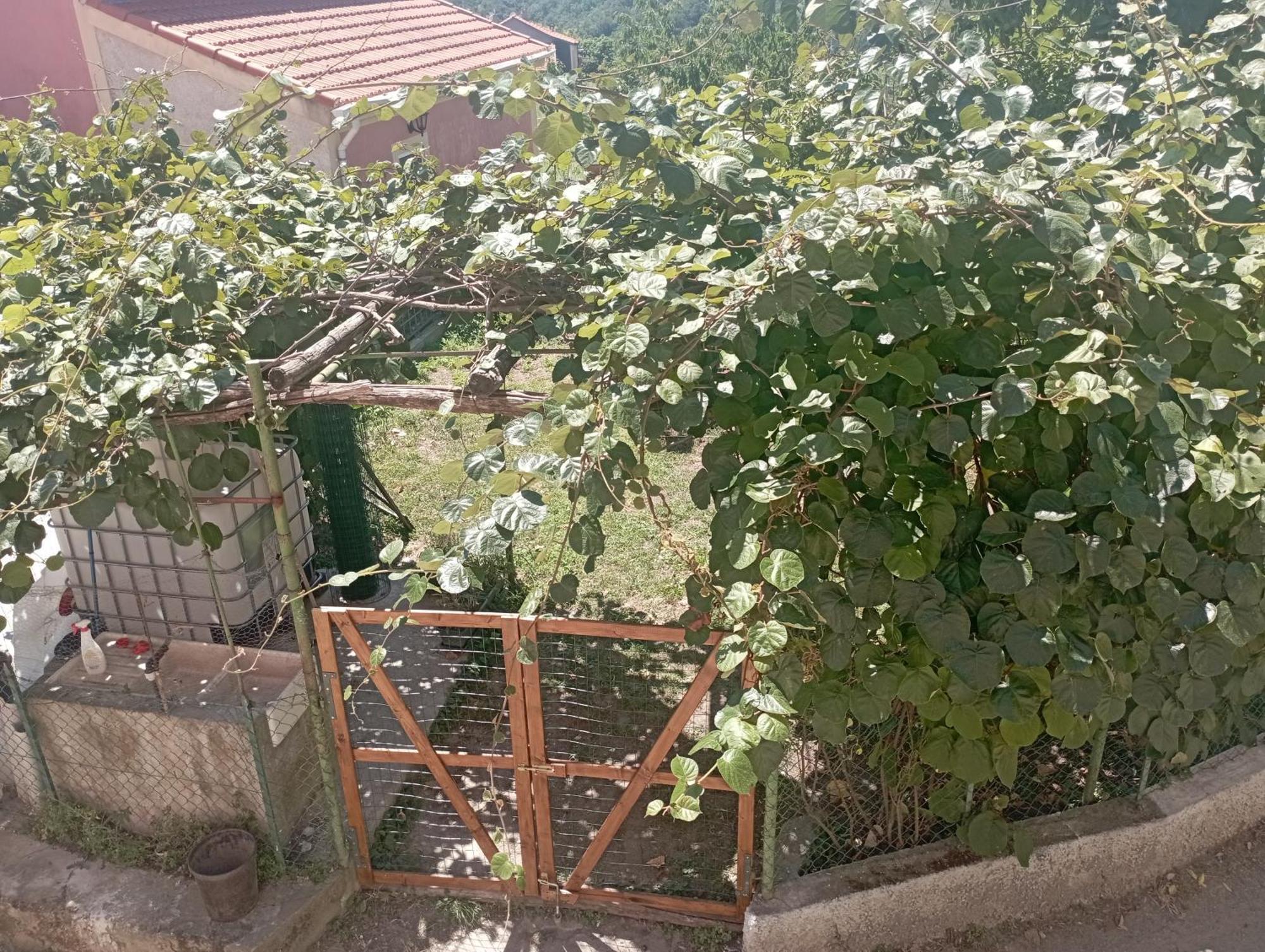 La Tana Della Volpetta - Bed & Breakfast Stella 외부 사진
